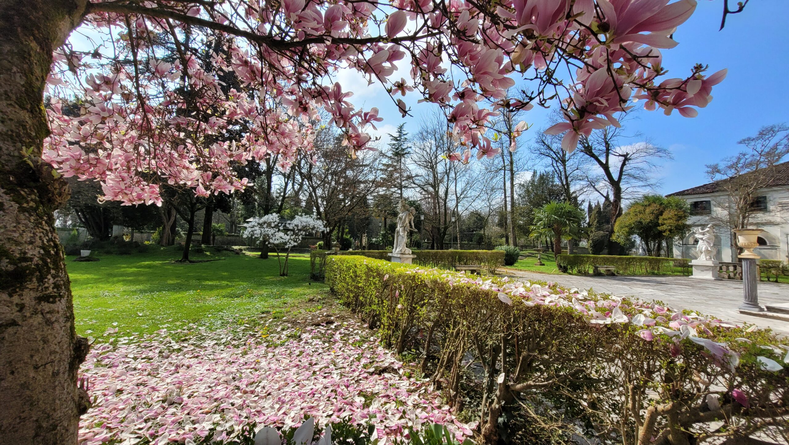 Villa Navagero Erizzo